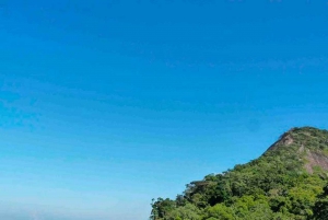 Rio de Janeiro: Tijuca Peak Guided Hike