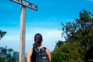 Rio de Janeiro: Tijuca Peak Guided Hike