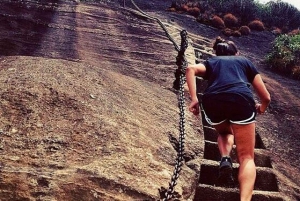 Rio de Janeiro: Tijuca Peak Guided Hike