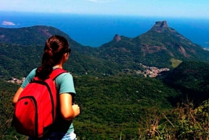 Rio de Janeiro: Tijuca Peak Guided Hike