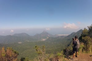 Rio de Janeiro: Tijuca Peak Guided Hike