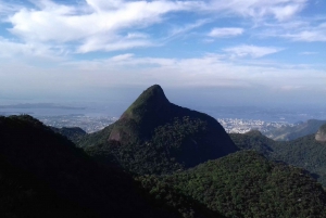 Rio de Janeiro: Tijuca's Peak Hiking Tour