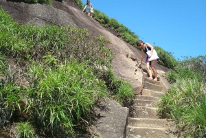 Rio de Janeiro: Tijuca's Peak Hiking Tour