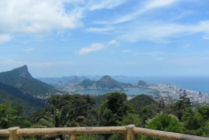 Rio de Janeiro: Tijuca's Peak Hiking Tour