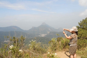 Rio de Janeiro: Tijuca's Peak Hiking Tour