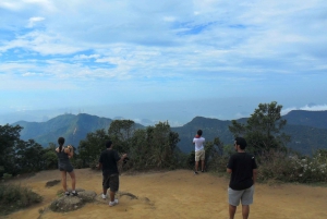 Rio de Janeiro: Tijuca's Peak Hiking Tour