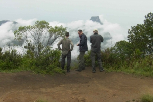 Rio de Janeiro: Tijuca's Peak Hiking Tour