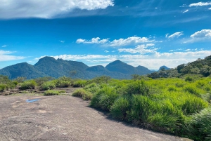 Rio de Janeiro: Trilha da Pedra Bonita e Vista Chinesa