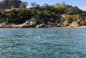 Rio de Janeiro: Unforgettable Sunset Boat Tour