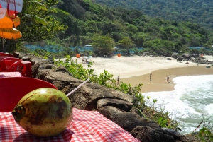 Rio de Janeiro: Wild Beaches Day - Prainha + Grumari