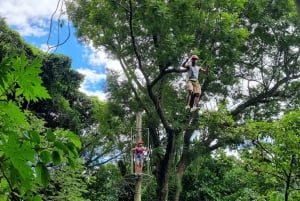 Rio de Janeiro: Zip Lining and Canopy Tree Tour