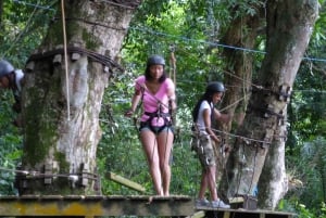 Rio de Janeiro: Zip Lining and Canopy Tree Tour