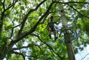 Rio de Janeiro: Zip Lining and Canopy Tree Tour