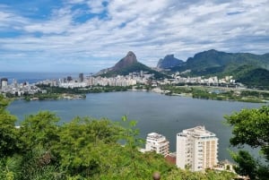 Rio de Janeiro: Zip Lining and Canopy Tree Tour