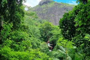 Rio de Janeiro: Zip Lining and Canopy Tree Tour
