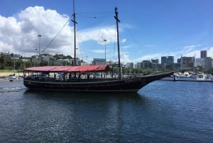 Rio From The Sea: Guanabara Bay Cruise with Optional Lunch