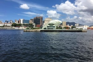 Rio From The Sea: Guanabara Bay Cruise with Optional Lunch