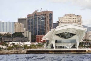 Rio From The Sea: Guanabara Bay Cruise with Optional Lunch