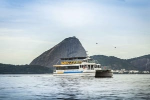 Rio: Guanabara Bay Boat Trip by Catamaran with Audio Guide