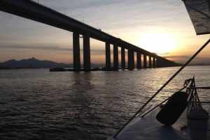 Rio: Guanabara Bay Boat Trip by Catamaran with Audio Guide