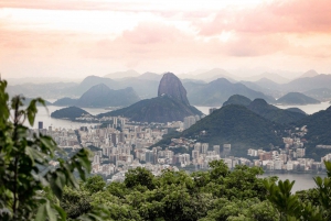 Rio: Half-Day Jeep Tour at Floresta da Tijuca