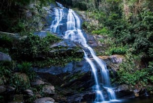 Rio: Half-Day Jeep Tour at Floresta da Tijuca