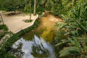 Rio: Half-Day Jeep Tour at Floresta da Tijuca