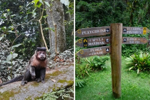 Rio: Half-Day Jeep Tour at Floresta da Tijuca