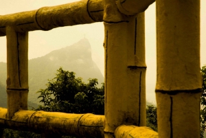 Rio: Half-Day Jeep Tour at Floresta da Tijuca