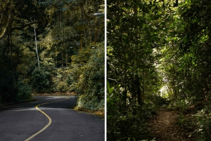 Rio: Half-Day Jeep Tour at Floresta da Tijuca