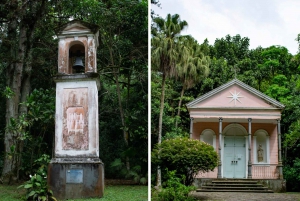 Rio: Half-Day Jeep Tour at Floresta da Tijuca