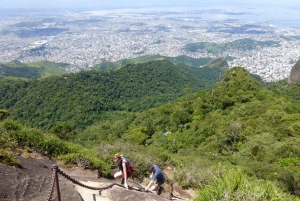Rio: Hike to Tijuca Peak the Highest Summit in Tijuca Forest