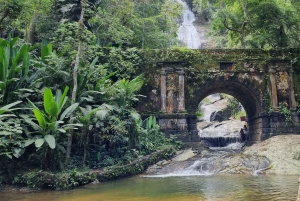Rio: Hike to Tijuca Peak the Highest Summit in Tijuca Forest