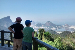 Rio: Hike to Tijuca Peak the Highest Summit in Tijuca Forest