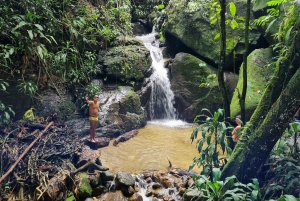 Rio: Hike to Tijuca Peak the Highest Summit in Tijuca Forest
