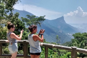 Rio: Hike to Tijuca Peak the Highest Summit in Tijuca Forest