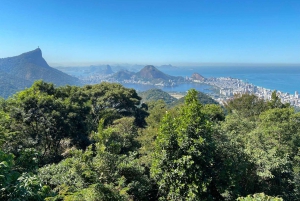 Rio: Hike to Tijuca Peak the Highest Summit in Tijuca Forest