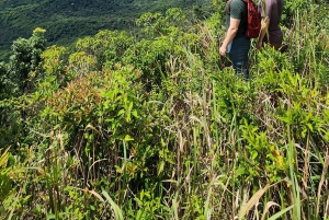 Rio: Hike to Tijuca Peak the Highest Summit in Tijuca Forest
