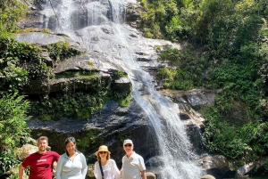 Rio: Hike to Tijuca Peak the Highest Summit in Tijuca Forest