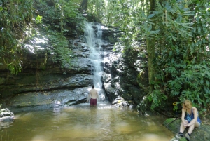 Rio: Hike to Tijuca Peak the Highest Summit in Tijuca Forest