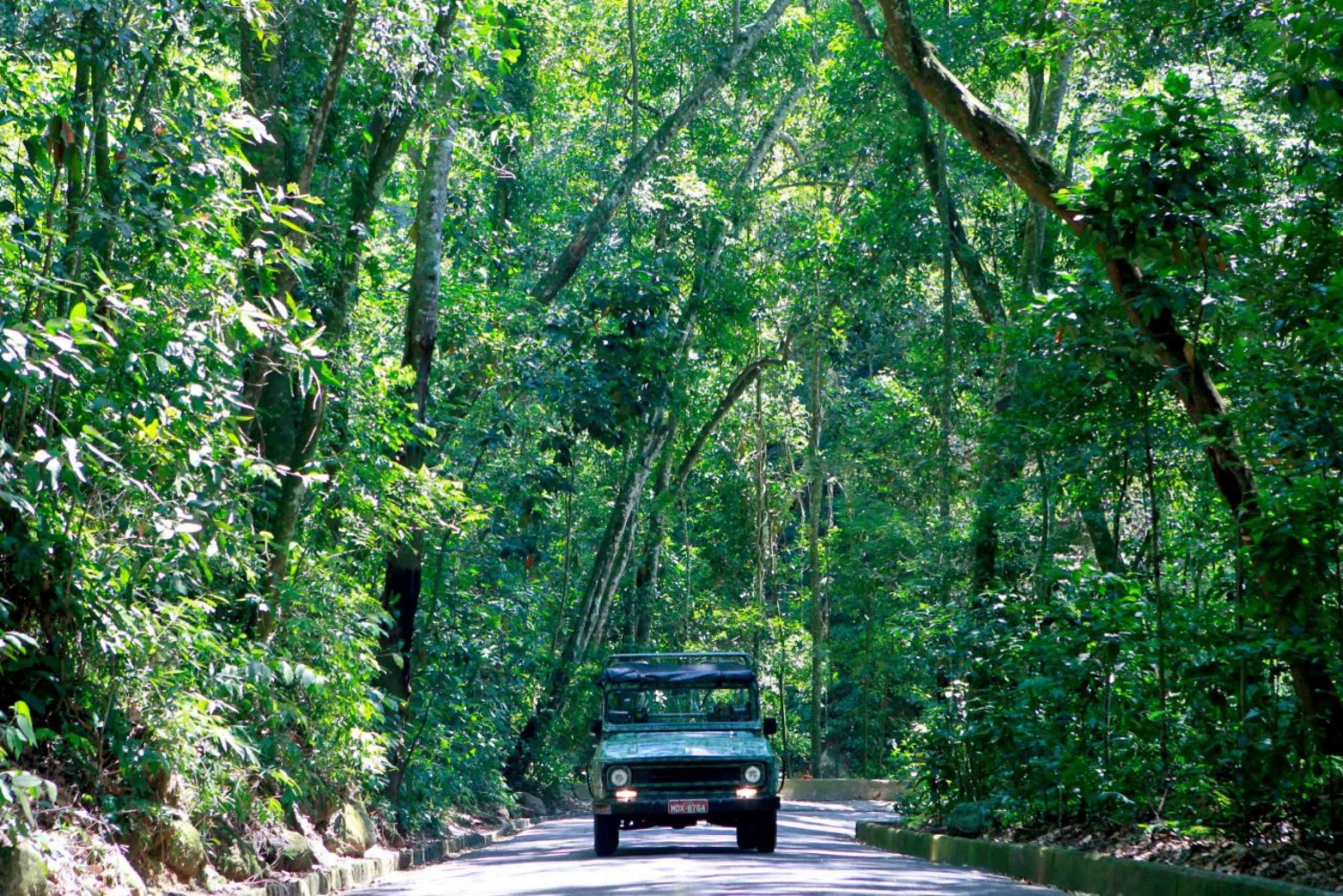 Rio: Jeep Tour to Botanical Garden and Tijuca Forest