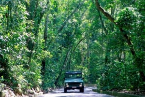 Rio: Jeep Tour to Botanical Garden & Tijuca Forest w/ Ticket