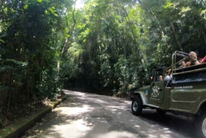 Rio: Jeep Tour to Botanical Garden & Tijuca Forest w/ Ticket