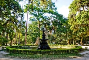 Rio: Jeep Tour to Botanical Garden & Tijuca Forest w/ Ticket