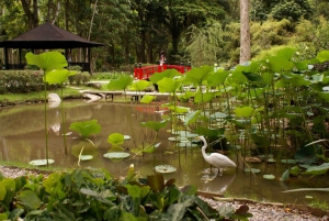 Rio: Jeep Tour to Botanical Garden & Tijuca Forest w/ Ticket