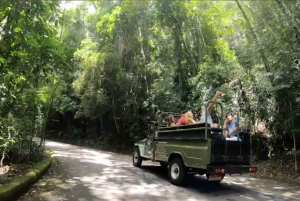 Rio: Jeep Tour to Botanical Garden & Tijuca Forest w/ Ticket