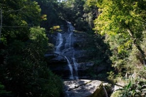 Rio: Jeep Tour with Corcovado, Tijuca Forest and Sta Teresa
