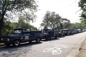 Rio: Jeep Tour with Corcovado, Tijuca Forest and Sta Teresa