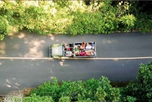 Rio: Jeep Tour with Corcovado, Tijuca Forest and Sta Teresa
