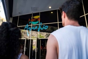 Rio: Olympic Boulevard, AquaRio and Museum of Tomorrow Tour